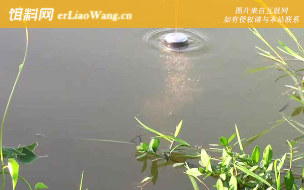 六月钓鱼:最佳天气