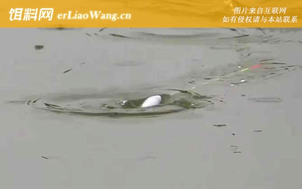 六月钓鱼:钓点选择