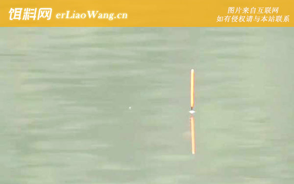 六月钓鱼:窝子无鱼