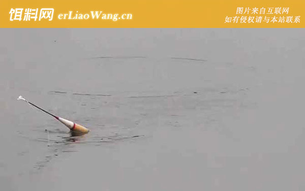 六月钓鱼:杂鱼闹窝