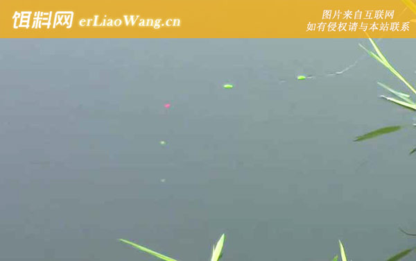 六月天钓鱼:最佳天气