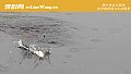 《七月钓鱼最佳时间是什么时候?》封面图
