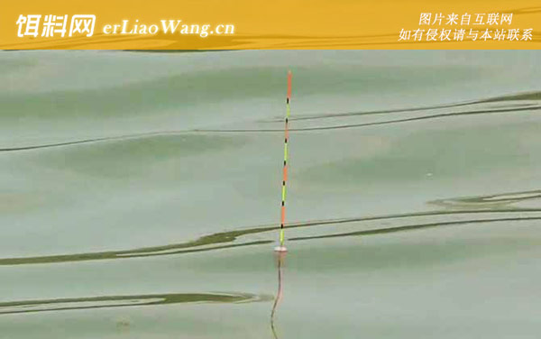 七月钓鱼:钓点选择