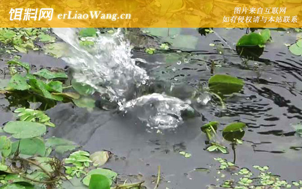 初秋钓鱼:钓点选择