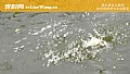 初秋下雨天气钓鱼好钓吗?