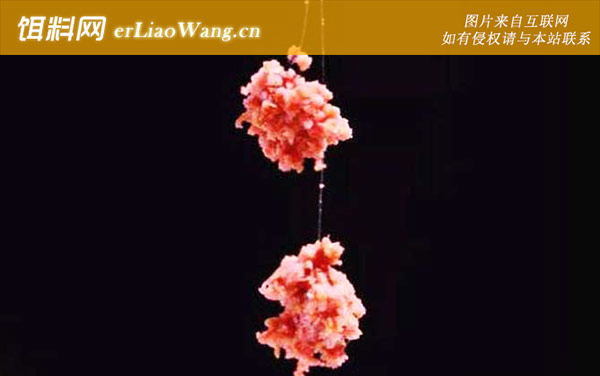 经典配方:商品饵料