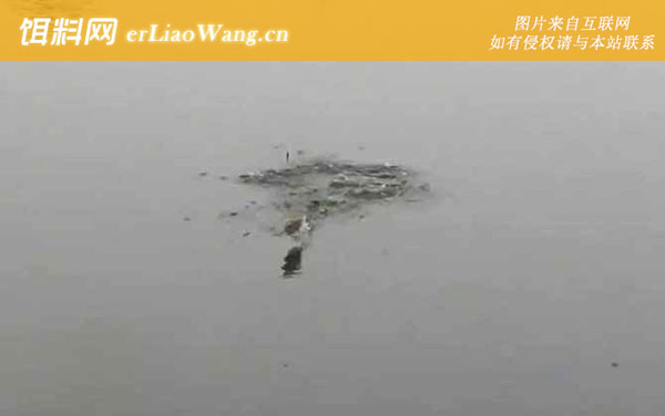 深秋钓鱼时间地点天气选择技巧-钓点