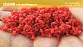 深秋钓鱼用什么打窝最好？