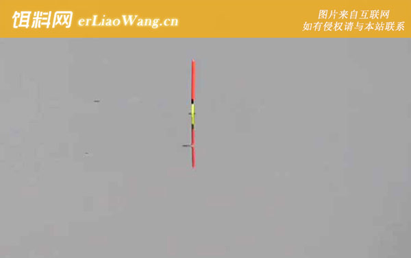 秋季钓鱼:钓点选择