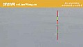 《秋季钓鱼钓远还是钓近?》封面图