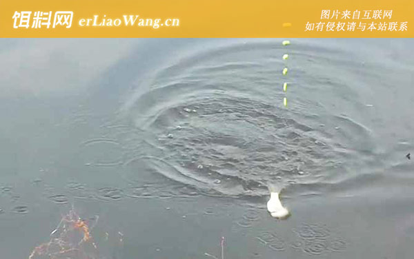 秋季钓鱼:钓点选择