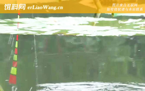 八月钓鱼:最佳天气