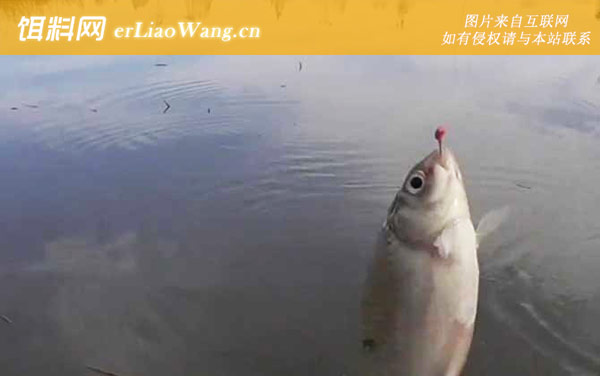 八月份钓鱼:钓点选择