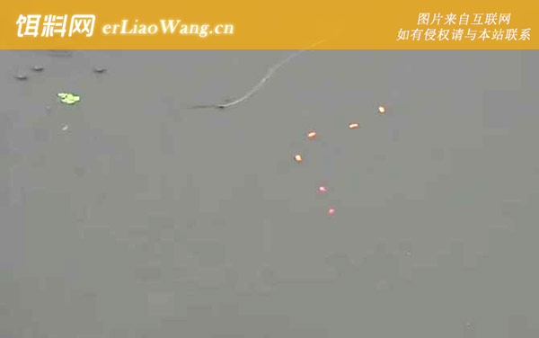 九月钓鱼:钓点选择