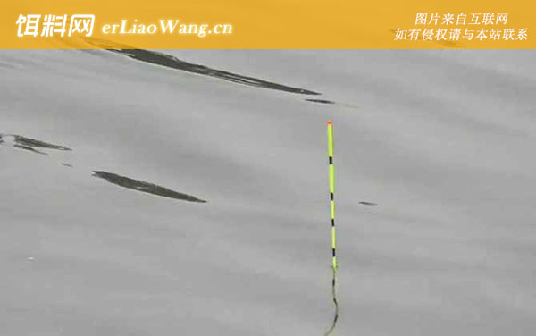 九月钓鱼:饵料选用