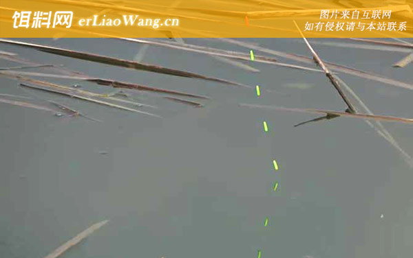 十月钓鱼:钓点选择