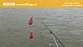 初冬钓鱼最佳时间是什么时候？