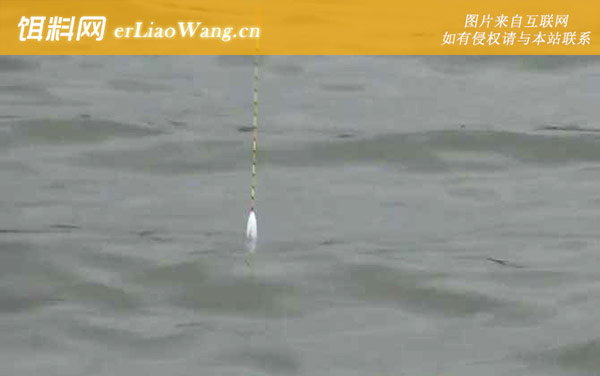 初冬钓鱼:钓点选择