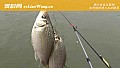 初冬钓鱼天气怎么选择？