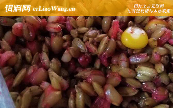 初冬钓鱼用什么打窝好-自制窝料