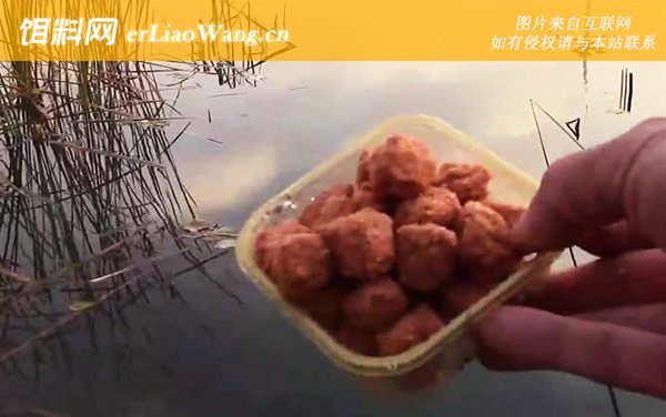 初冬钓鱼:钓点选择