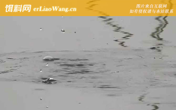 初冬钓鱼:出钓天气