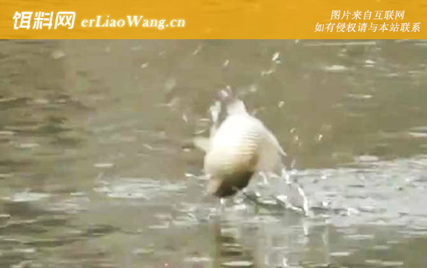 冬季钓鱼:钓点选择