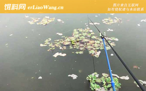 冬季钓鱼:钓点选择