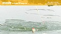 《冬季钓鱼可以钓浮吗？》封面图