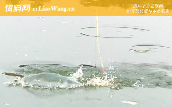 冬季钓鱼:钓点选择