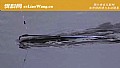 冬季钓鱼可以用麦子钓吗?