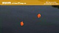 《冬季钓鱼用香腥还是腥香?》封面图