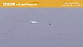 冬季钓鱼在上风还是下风？