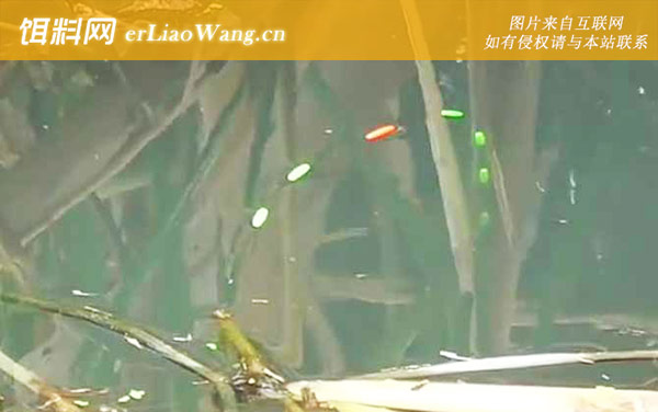 十二月份钓鱼:钓点选择