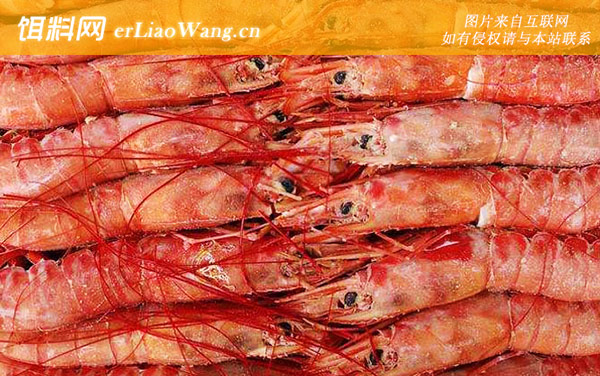 阿根廷红虾:产地分布