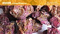 阿魏钓鱼怎么用?