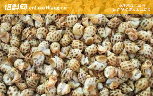 斑玉螺:分布范围