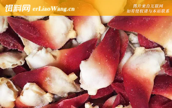 北极贝:分布范围