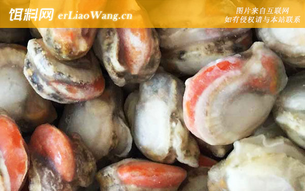 北极贝:生活习性