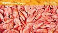 《北极虾是什么虾？》封面图