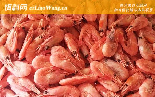 北极虾:肉质特征