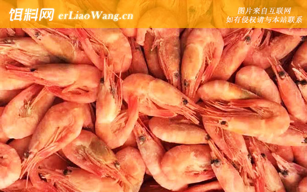 北极虾:食用价值