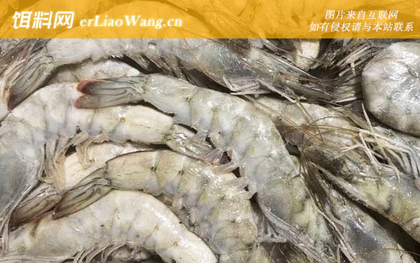 厄瓜多尔白虾:分布范围