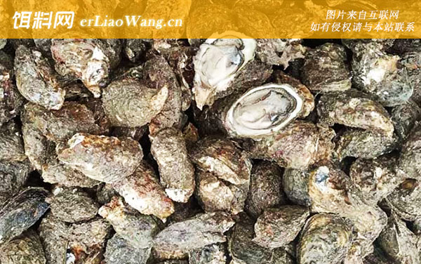 海蛎子:分布范围