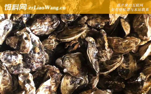 海蛎子:生活习性