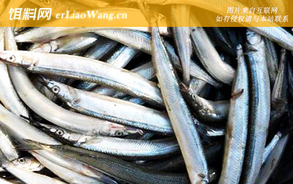 马步鱼:分布范围