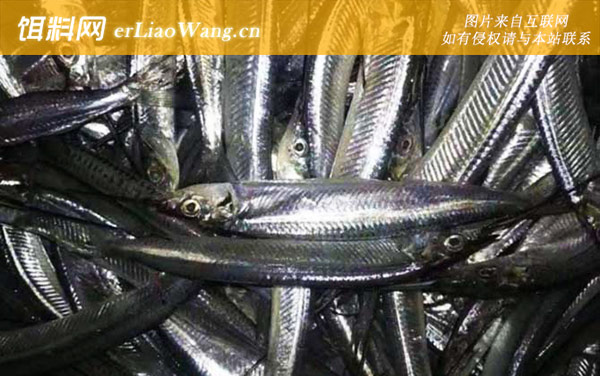 马步鱼:生活习性