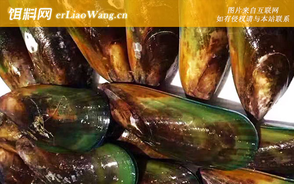 青口贝:分布范围