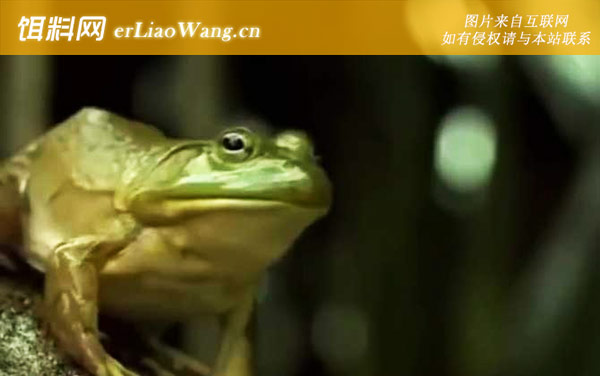 萎缩蛙:分布范围