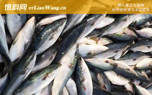 章红鱼:分布范围